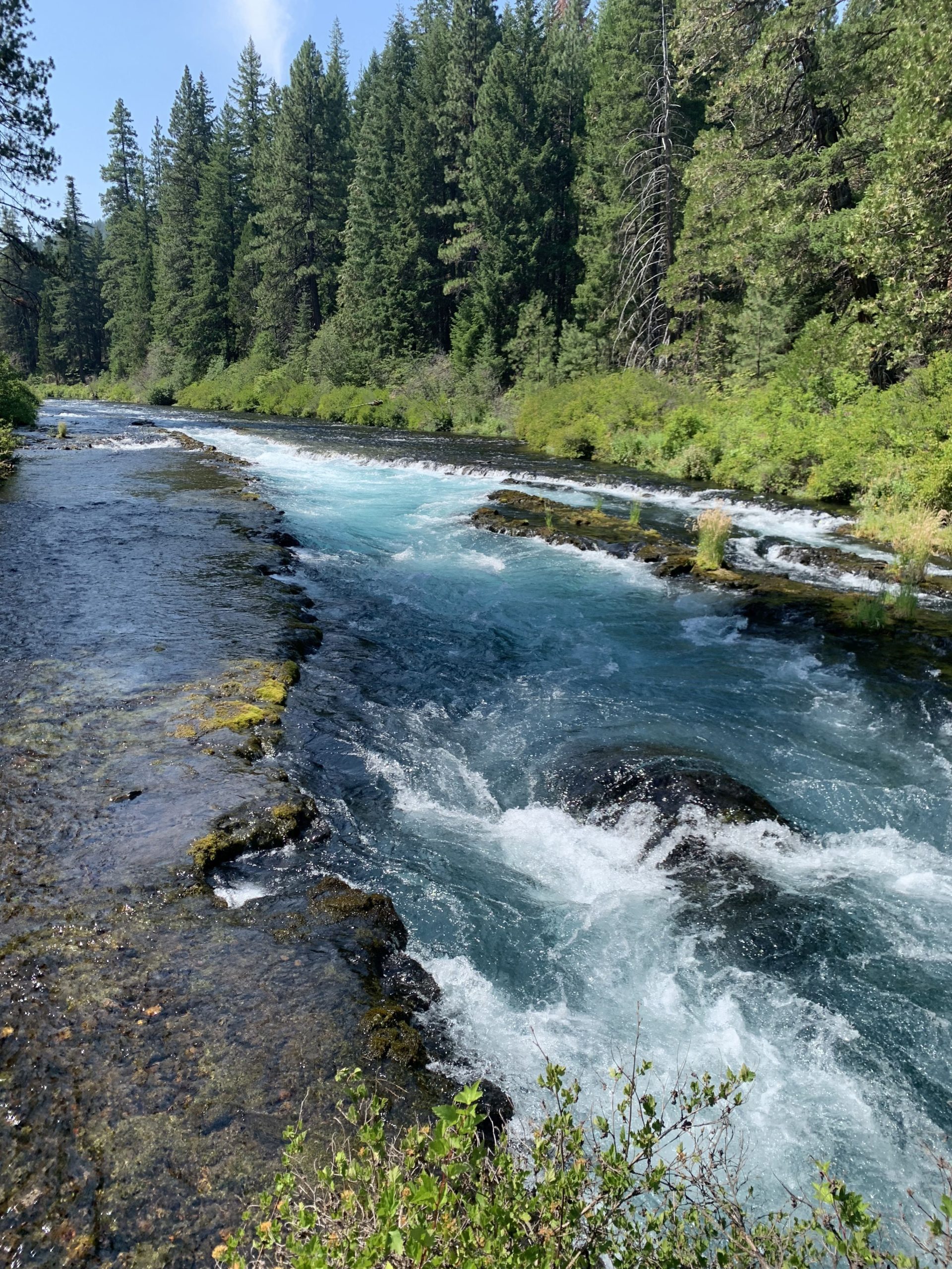 Help Protect the Metolius River! Northwest Environmental Defense Center